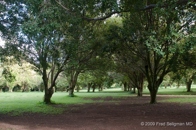 20091101_161332 D300.jpg - Landscape, Kohala